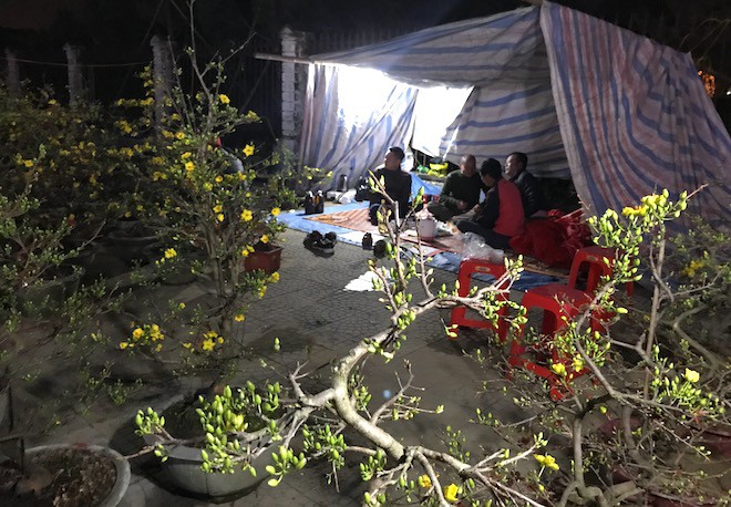 Trắng đêm ngồi co ro đốt củi sưởi ấm để canh đào, quất, hoa Tết